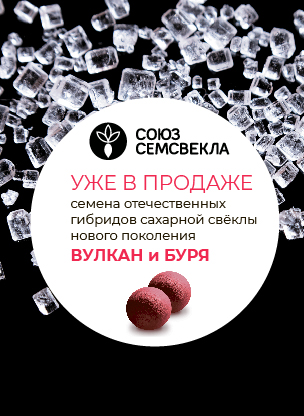 Новинки Вулкан и Буря