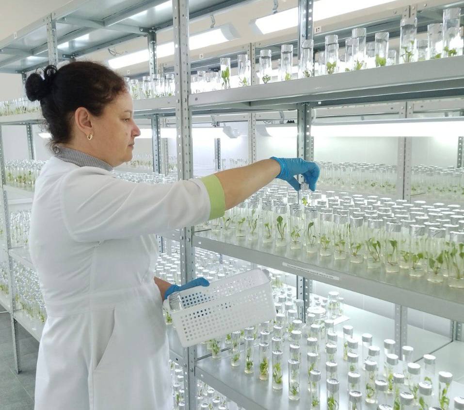 photo_2025-10-27_09-18-16 (2).jpg